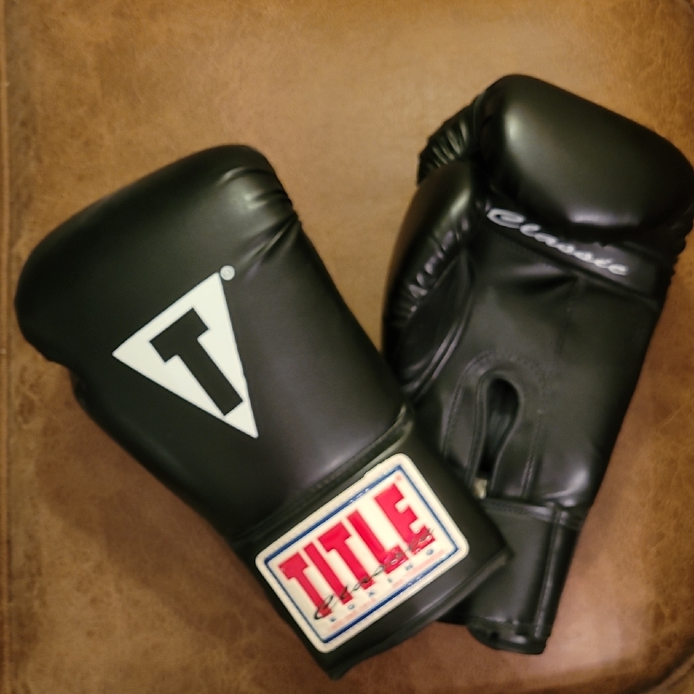 TITLE Boxing Black Training Gloves
